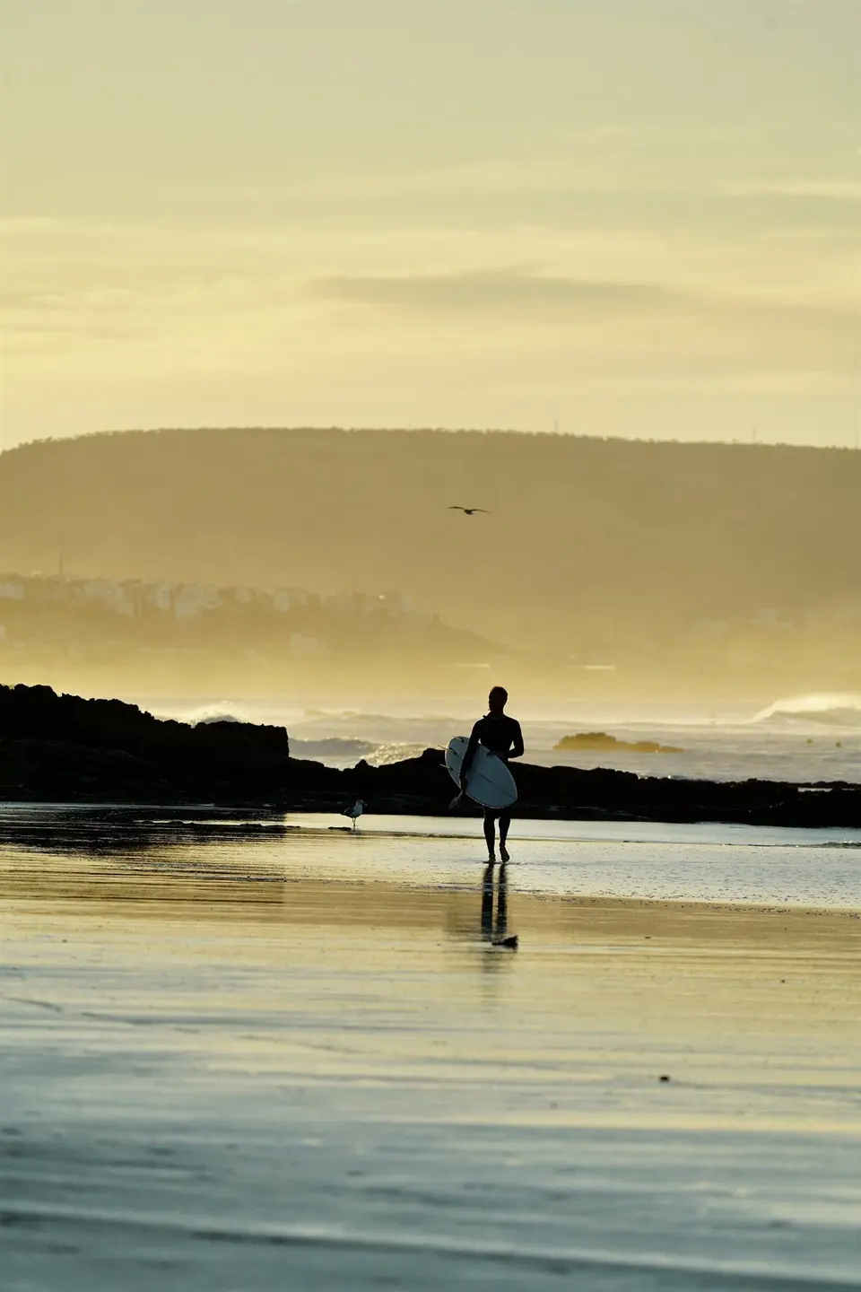 Surfer silhouette at sunset on the beach